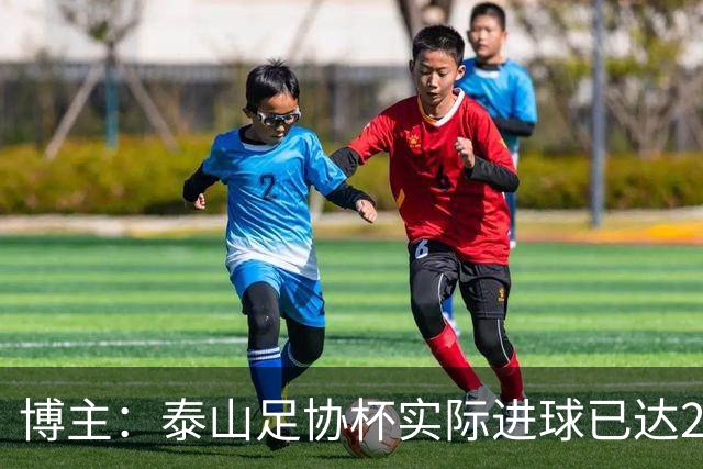 博主：泰山足协杯实际进球已达298个 克雷桑进球数差李金羽3个