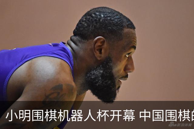 小明围棋机器人杯开幕 中国围棋的“家底”藏不住了